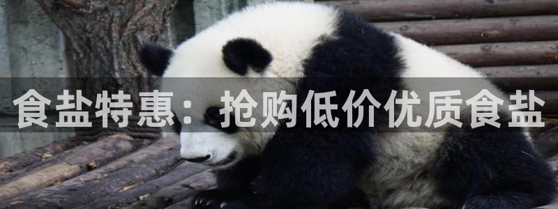 威九国际可以赚到钱