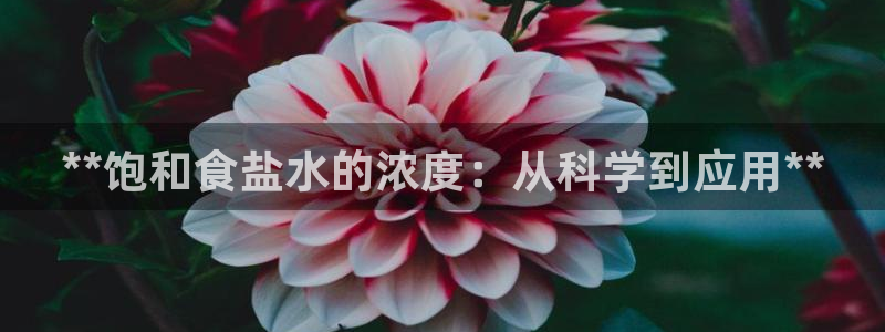 威九国际78m