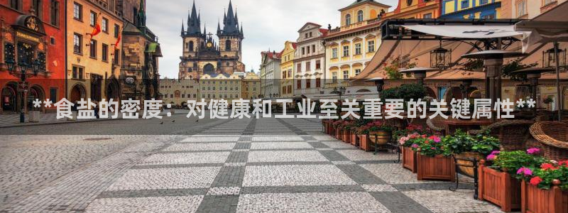 威九国际fX8x