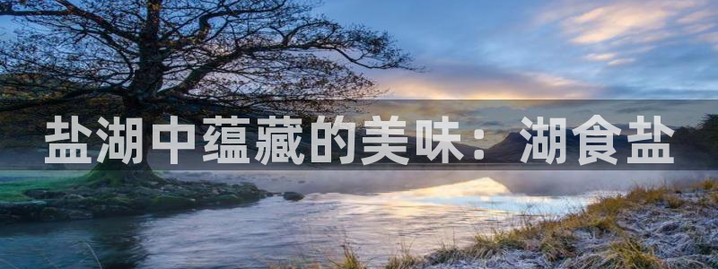 威九国际替好友去