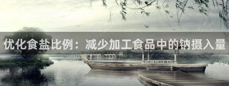 威九国际ppt免费