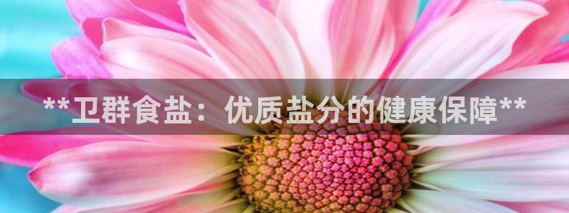 威九国际观看