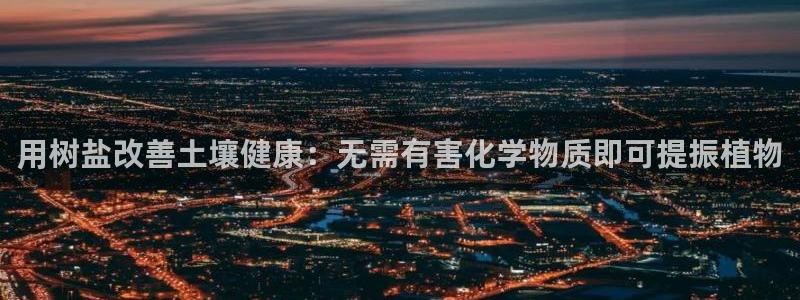 威九国际后爸