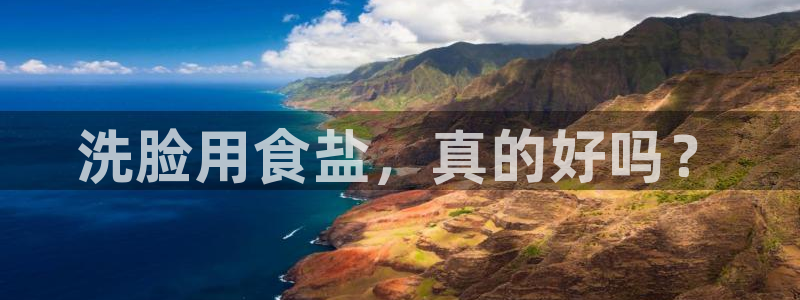 威九国际软件
