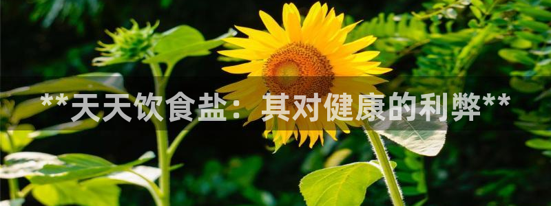 威九国际78mb玩法
