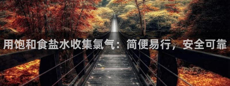 威九国际ppt免费吗