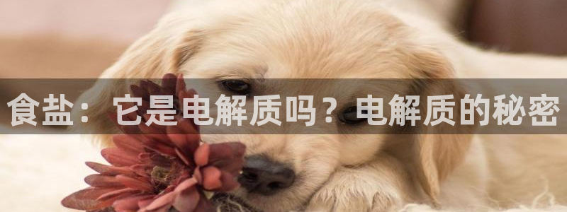 威九国际取款不会被骗吧吗