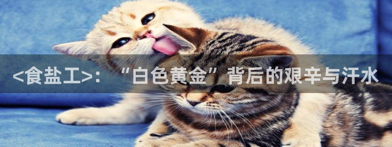 威九国际网站传媒招聘