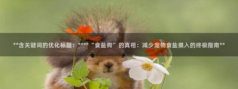 威九国际app入口官网