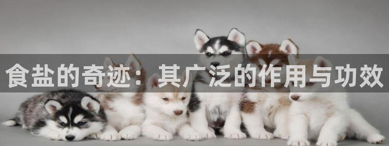 威九国际女演员好漂亮