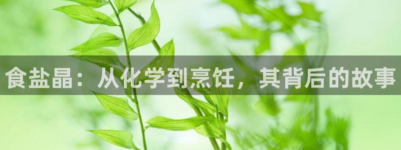 威九国际网站进入客服中心