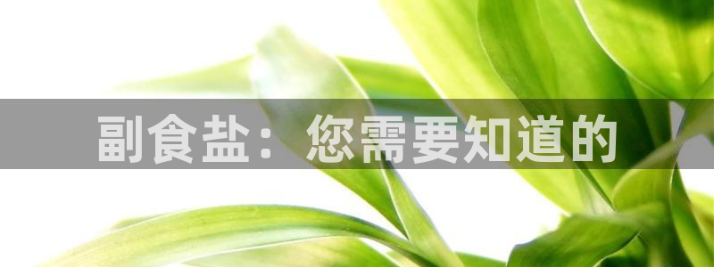威九国际网站怎么样可靠吗