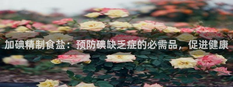 威九国际v96bet官网版