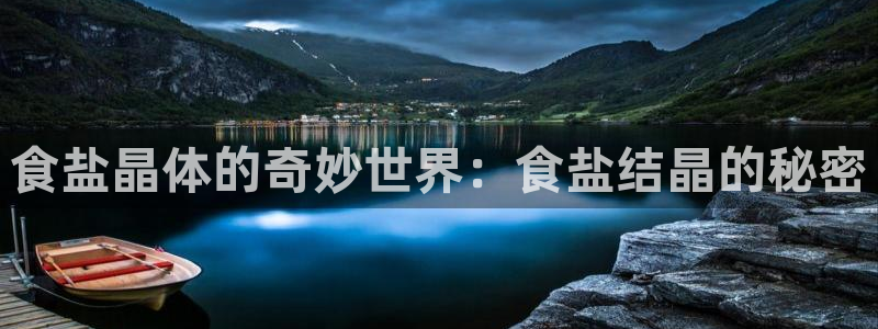 威九国际客服电话号码是多少
