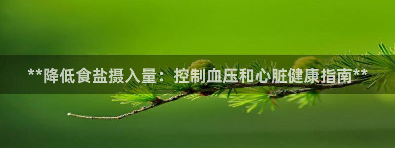 威九国际78mB