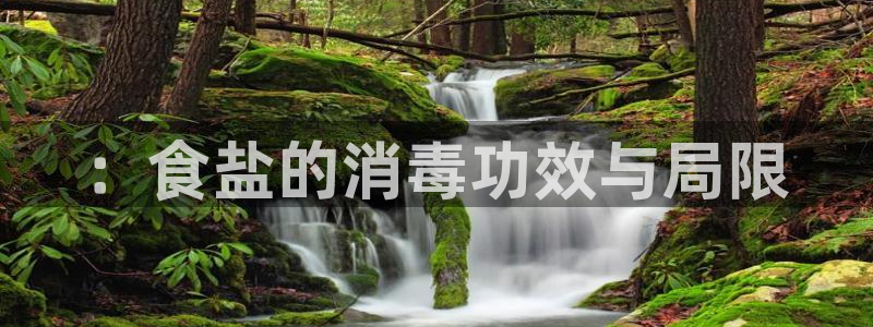 威九国际的网站入口在哪里