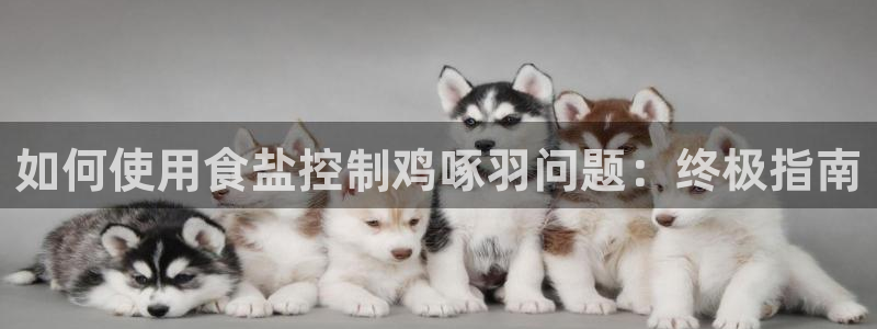 威九国际人民网