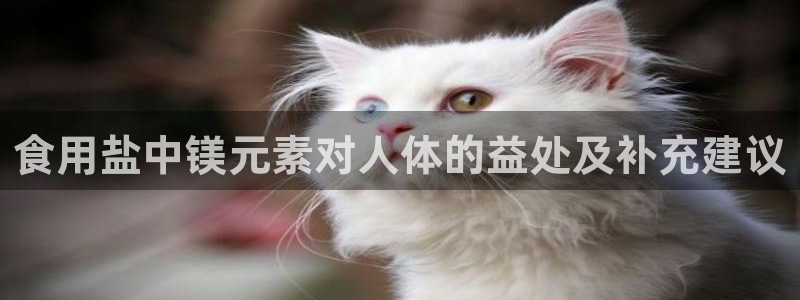 威九国际黑钱