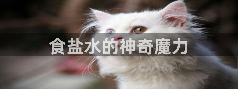 威九国际抡里