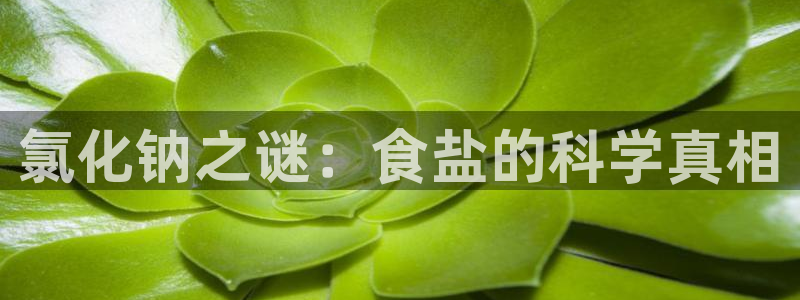 威九国际网站影视