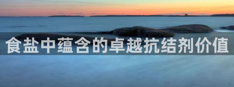 威九国际软件公司简介