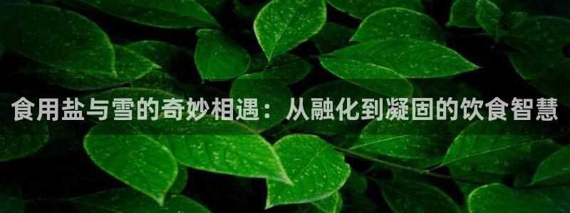 威九国际旗下艺人都有谁