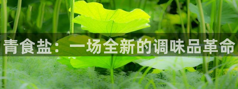 威九国际78免下载