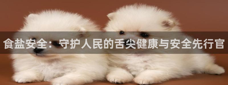 威九国际app