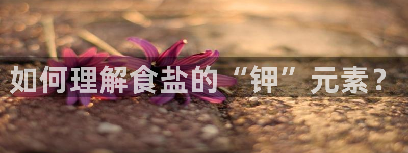 威九国际女星