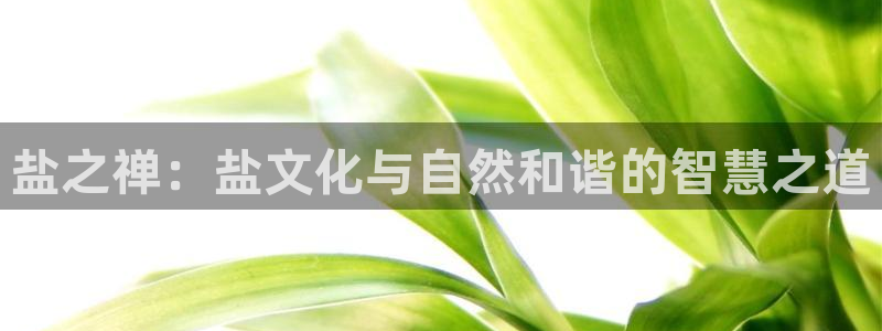 威九国际78m光伏巨头隆基绿能esg成色