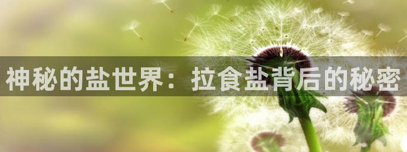 威九国际在线平台怎么样啊
