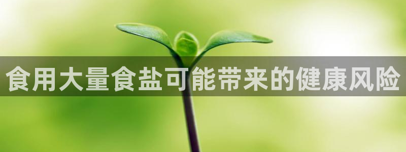 威九国际v96BET