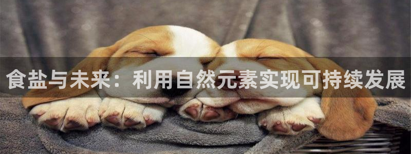 威九国际人民网