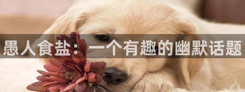 威九国际集团66m一6
