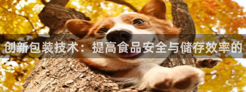 威九国际66m66成长模式免费
