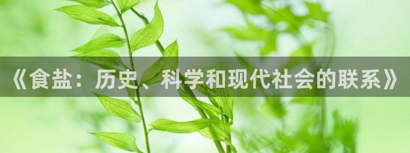威九国际在哪里