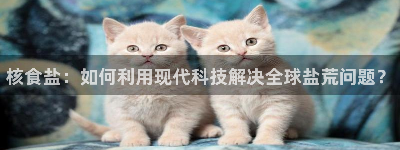 威九国际真人玩家在线对战