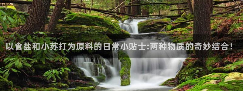 威九国际免费