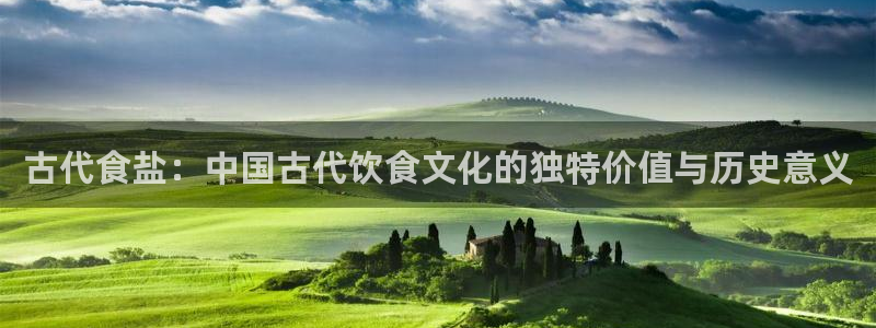 威九国际女星