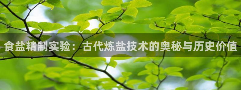 威九国际最新