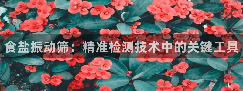 威九国际MV