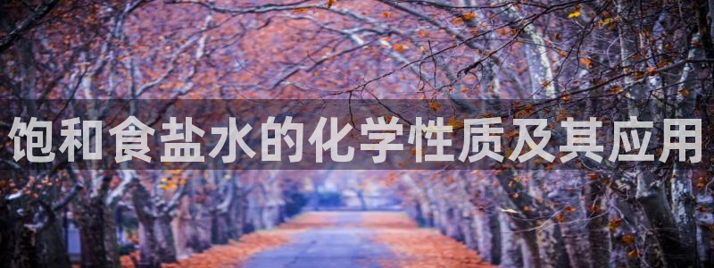 威九国际fX8x